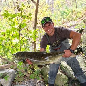 Meet your Posher, Allister